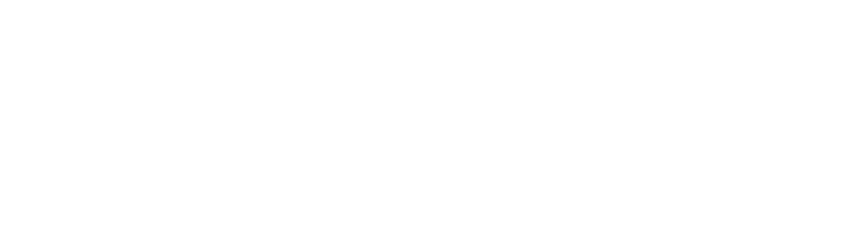 Projekt